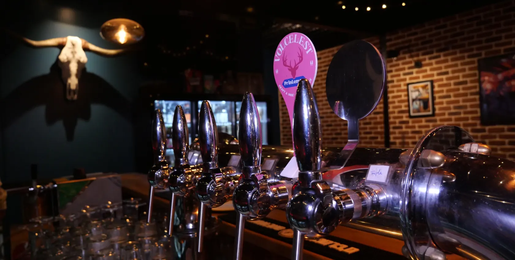 Les cinq tireuses à bière du Black River, bar à bières à Rambouillet, sous un crâne de longhorn